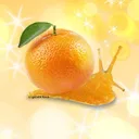 fregiscardthefakeone