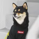 subzovisck