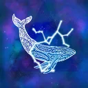preferredwhale6