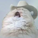 blutkatze