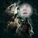 themoon_official_