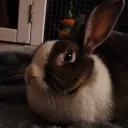 ohmoi