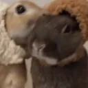 ohmoi