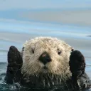 babick