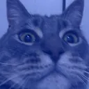kiradelsh