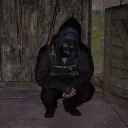 deukccoericoconnor4178