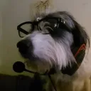 slip_shady