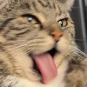 elizameowz