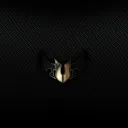 ghost_omid