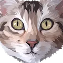 commanderfoo
