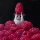 avatar Signal2Noise [Kim]