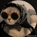 biazinha2