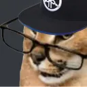 astr.aeus