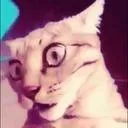 .askvr