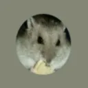 lordofhamstersva