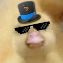 stunrayn