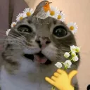 swaggykeggy