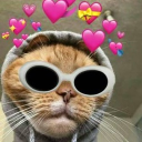 alekk_