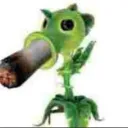 laufenn