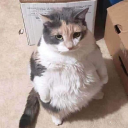 th3berserker#9494's avatar