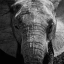 silurocryptopayafrica7738