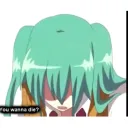 samichiineko