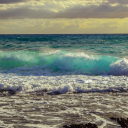 docterbleached's Avatar