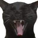 amesiyo