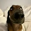 zeenyoo