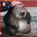 avatar !  ♕Ŧ𝐚𝐣𝐃𝐚𝐑 ᵀᴬᴶ