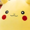 lapibapikachu