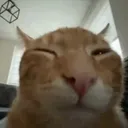 buh.__