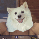 adrienbrioche