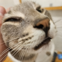 thesos#5799's avatar