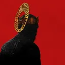 cygnus_olor