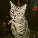 avatar pechkinson💬