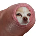 beeg_oof