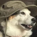 operatorzee