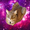 cosmiccat7