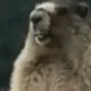 raxinargon
