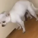 cleganeddd