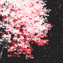 adarkis