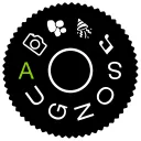 augnos
