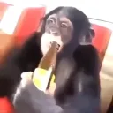 monsieurpiou