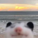 flont