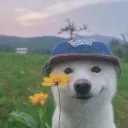 lostzinho