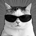 solid_sama