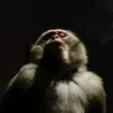 llluminati