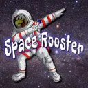 spacerooster