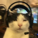 avatar ketamine of kos